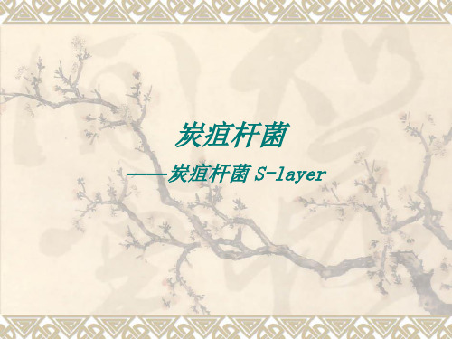 炭疽杆菌