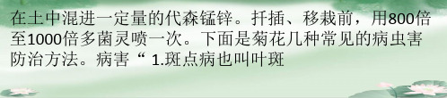 菊花病虫害及其防治方法