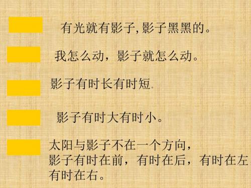 北师大版品德与生活二下《影子的探索》PPT课件