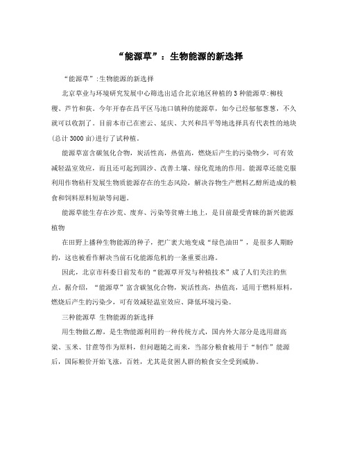 “能源草”：生物能源的新选择