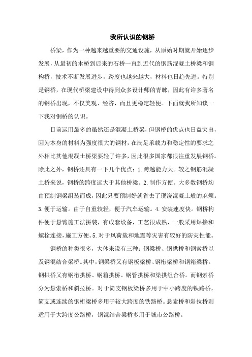 我认识的钢桥