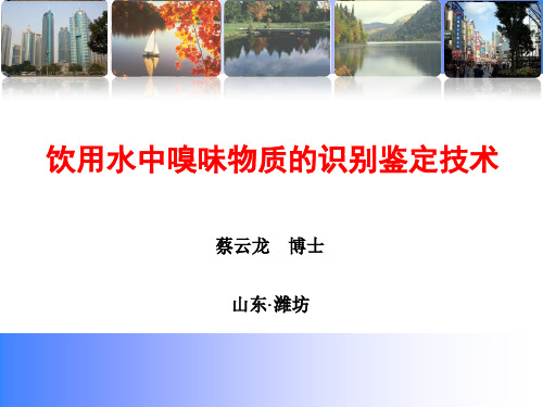 臭和味专项培训讲座6饮用水中嗅味物质的识别鉴定技术