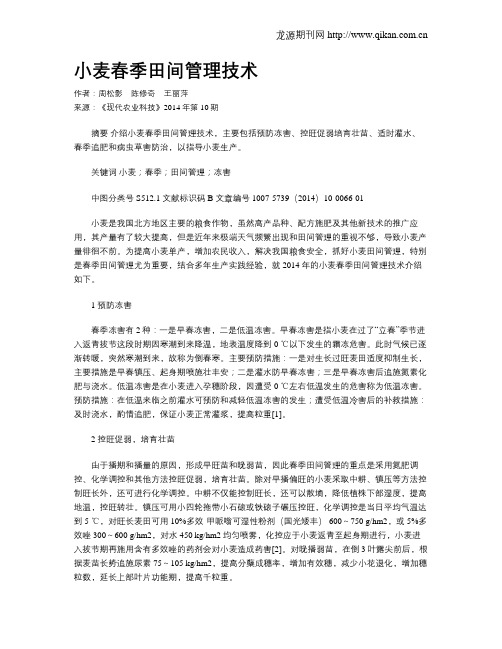 小麦春季田间管理技术