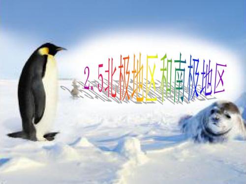 北极地区和南极地区