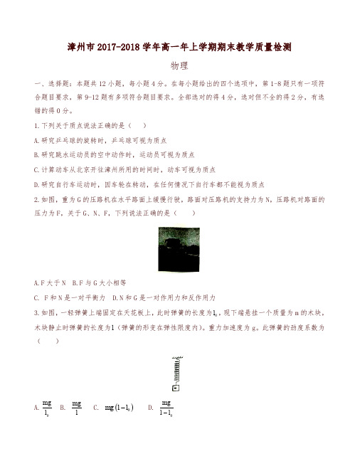 福建省漳州市高一上学期期末模拟考试物理有答案-精编