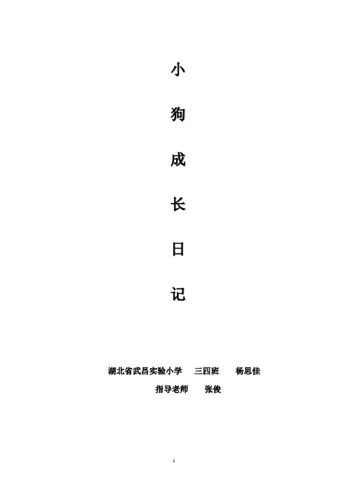 小狗成长日记