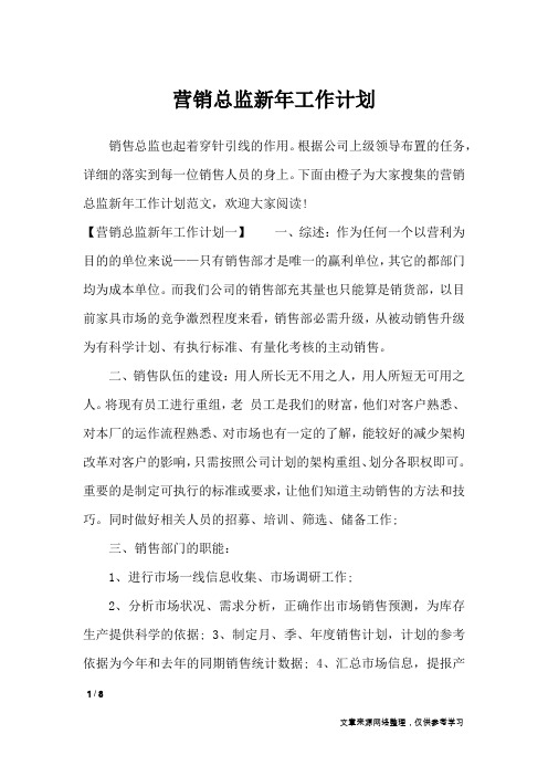 营销总监新年工作计划_工作计划