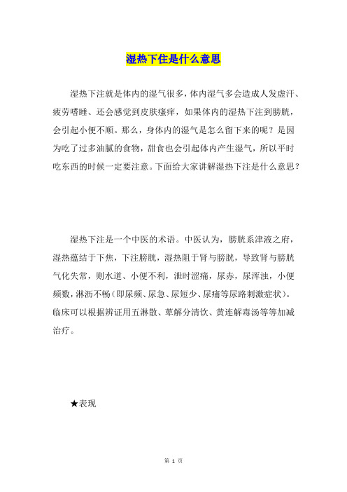 湿热下住是什么意思