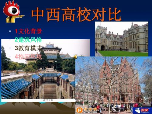 中西高校对比