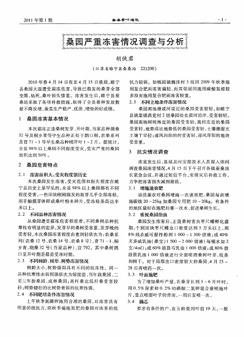 桑园严重冻害情况调查与分析