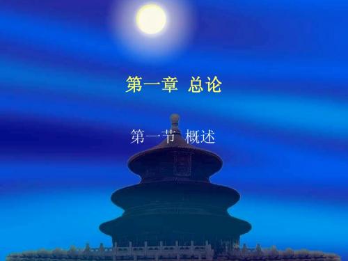 第一章  总论 (NXPowerLite)