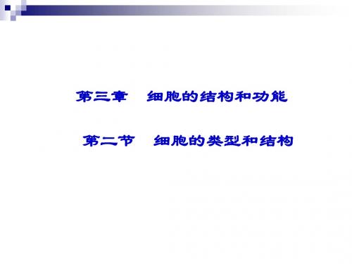 苏教版必修一细胞的类型和结构课件(60张)
