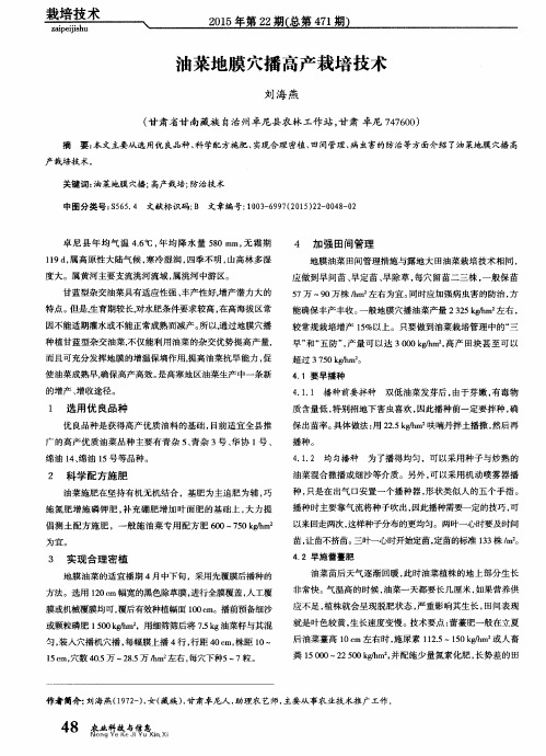 油菜地膜穴播高产栽培技术
