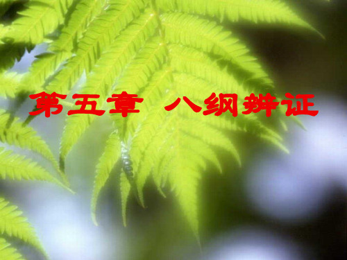 中医诊断学-第五章八纲辨证精品PPT课件