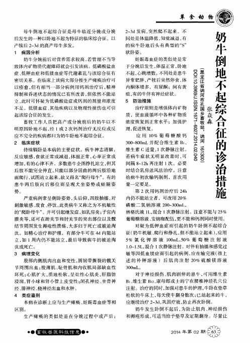奶牛倒地不起综合征的诊治措施
