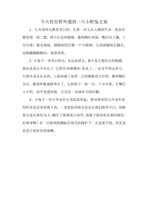 今天你在野外遇到一只小野兔文案