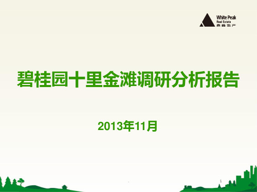 碧桂园十里金滩调研分析报告PPT课件