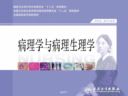 《病理学与病理生理学》应激  ppt课件