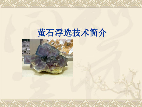 萤石选矿技术简介.