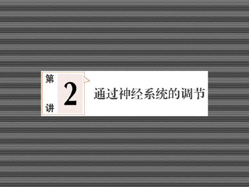 2013届高三生物一轮复习全套课件3-1-2