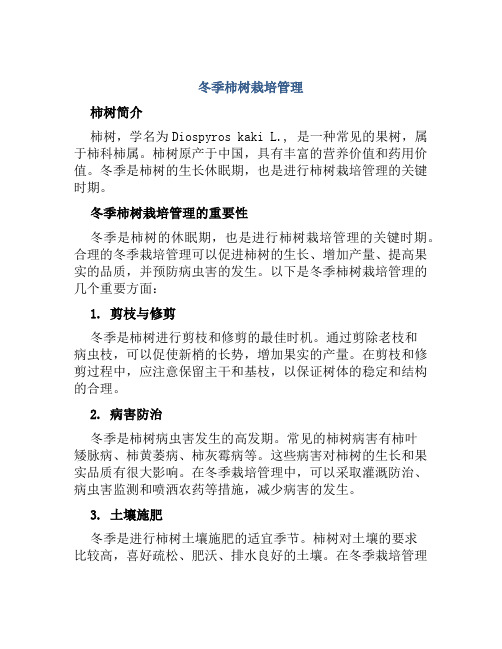 冬季柿树栽培管理