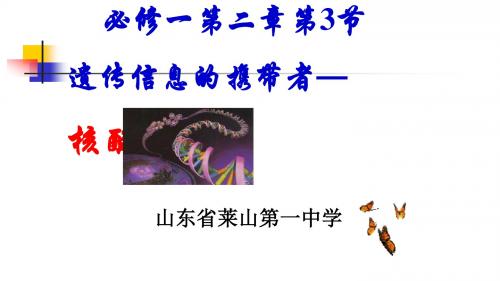 人教版高中生物必修一第二章第3节 遗传信息的携带者— 核酸公开课教学课件共20张PPT (共20张PPT)