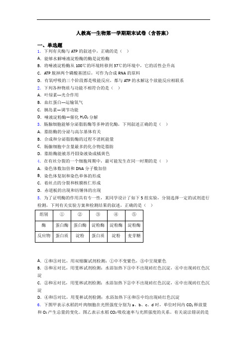 人教高一生物第一学期期末试卷(含答案)