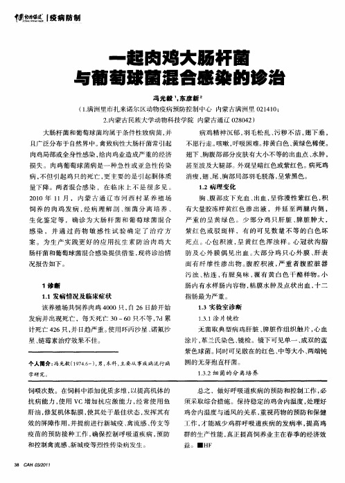 一起肉鸡大肠杆菌与葡萄球菌混合感染的诊治