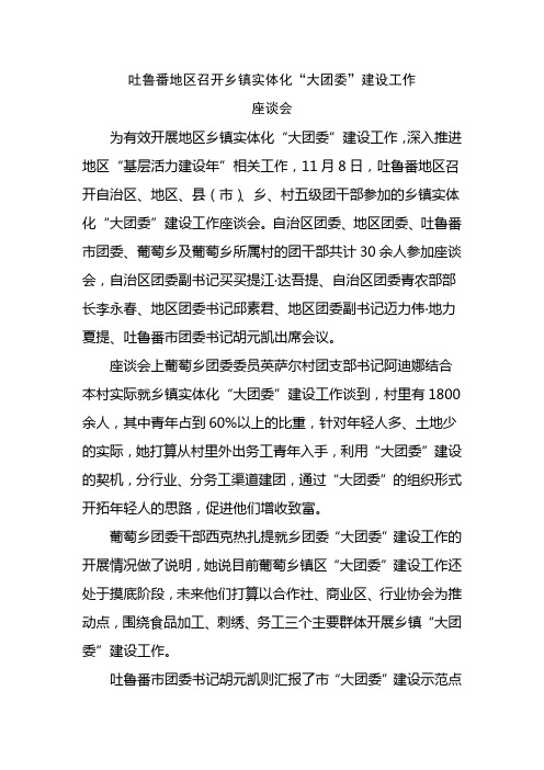 大团委建设座谈会信息1