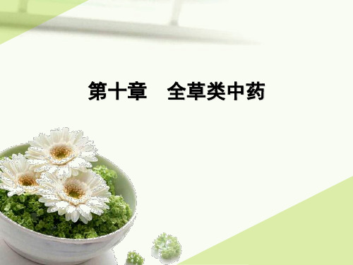 第十章全草类中药