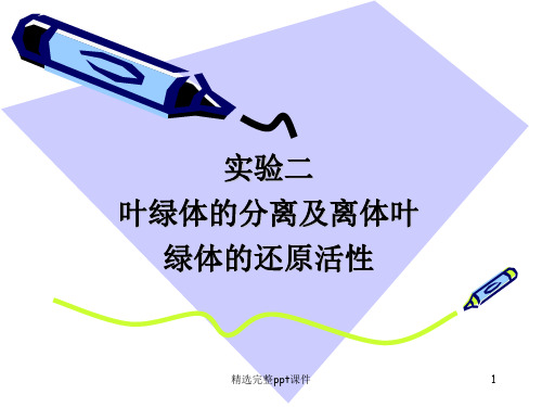 实验五、叶绿体的分离及离体叶绿体的还原活性