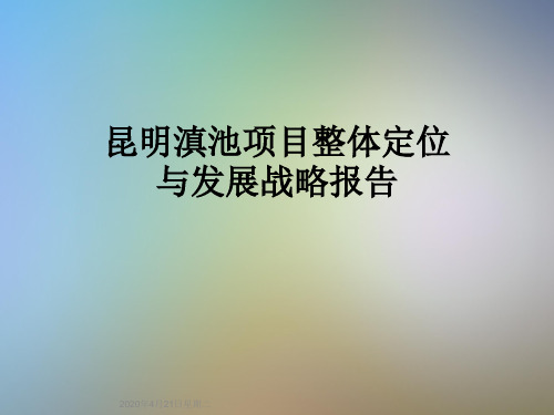 昆明滇池项目整体定位与发展战略报告