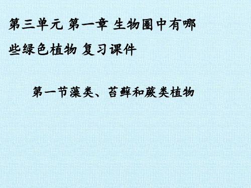 人教版七年级生物上第三单元 第一章 生物圈中有哪些绿色植物复习课教学课件