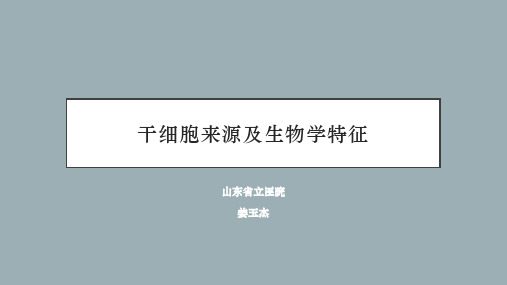 2.1 干细胞来源及生物学特征