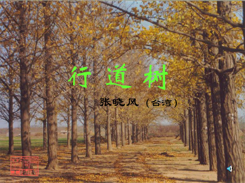 短文两篇 行道树