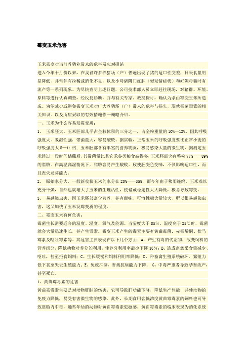 霉变玉米危害