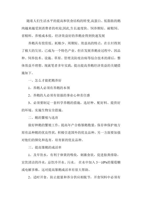 如何提高养鹅的经济效益