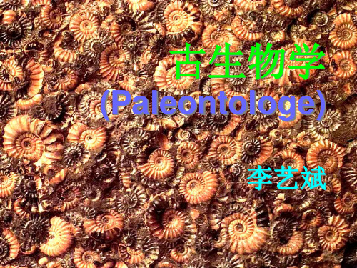 古生物学课件