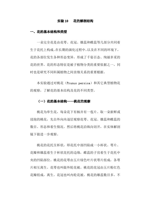 花的解剖结构