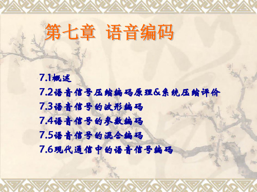 语音信号处理第7章