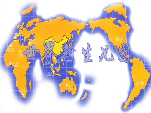 世界新生儿图PPT教学课件