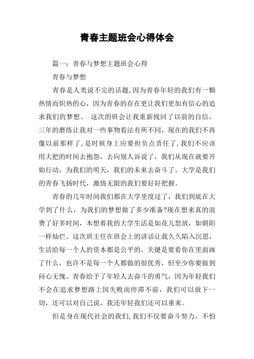 青春主题班会心得体会