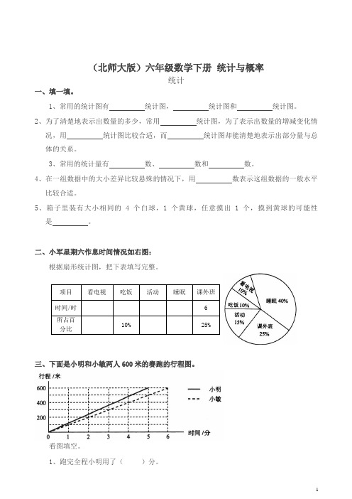 北师大版六年级下册《统计与概率——统计》练习题