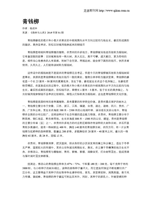 青钱柳