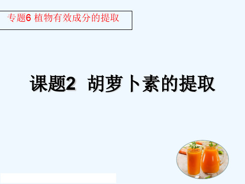 【实验】胡萝卜的组织培养
