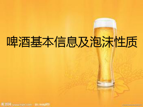 啤酒基本信息及泡沫性质