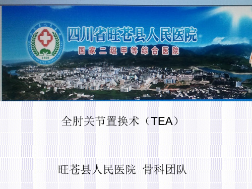 人工全肘关节置换手术