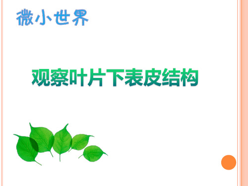 科学课件《用显微镜观察身边的生命世界(二)》精品PPT课件1