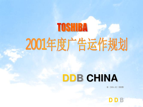 某公司年度广告运作规划教材(PPT 49页)