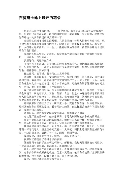 在贫瘠土地上盛开的花朵.